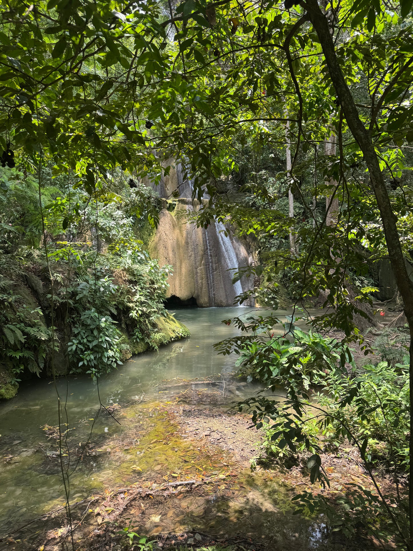 Senderismo a Cascada 7 Pisos