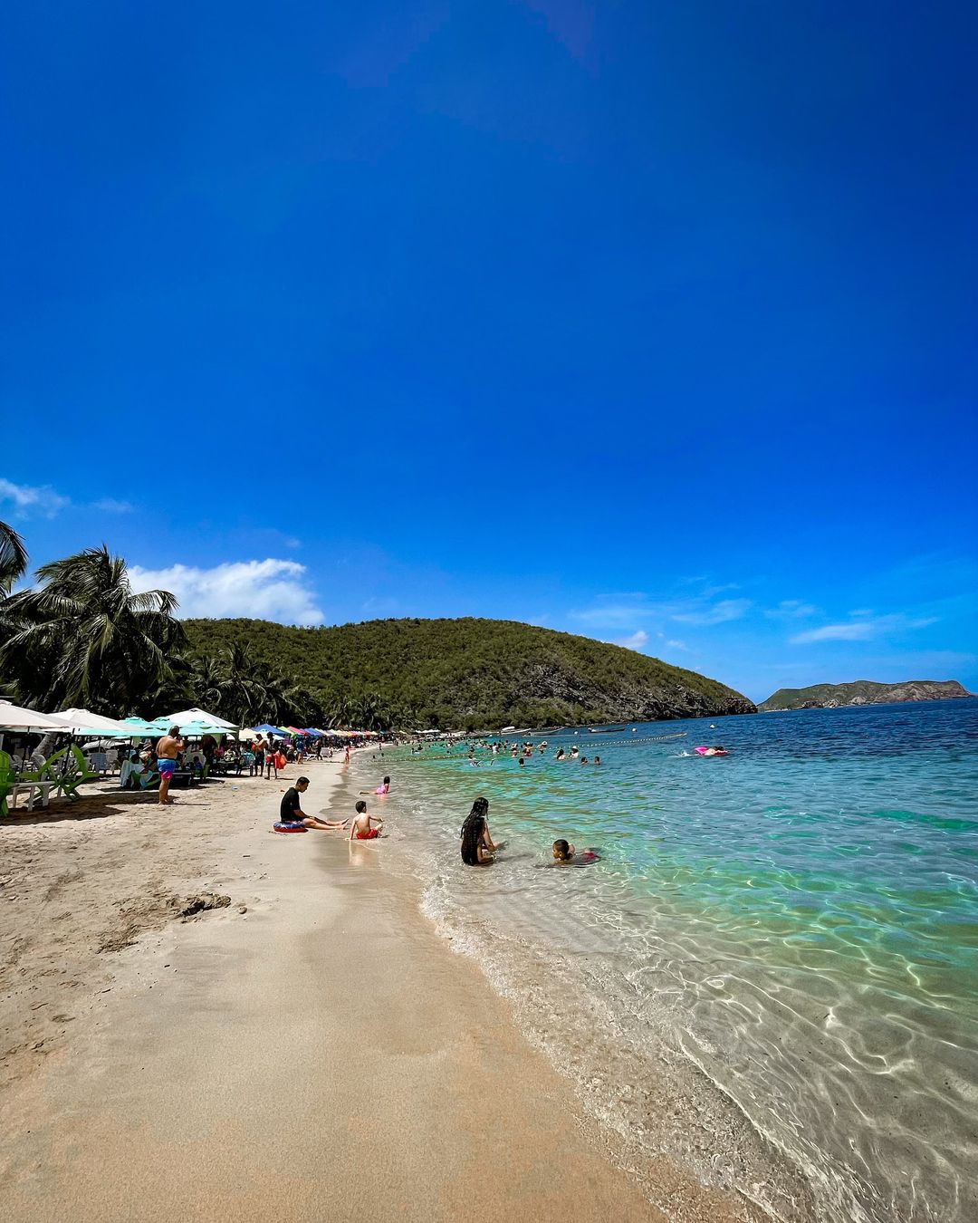 🐬 Tour de los Delfines e Isla Piscina 🛥️