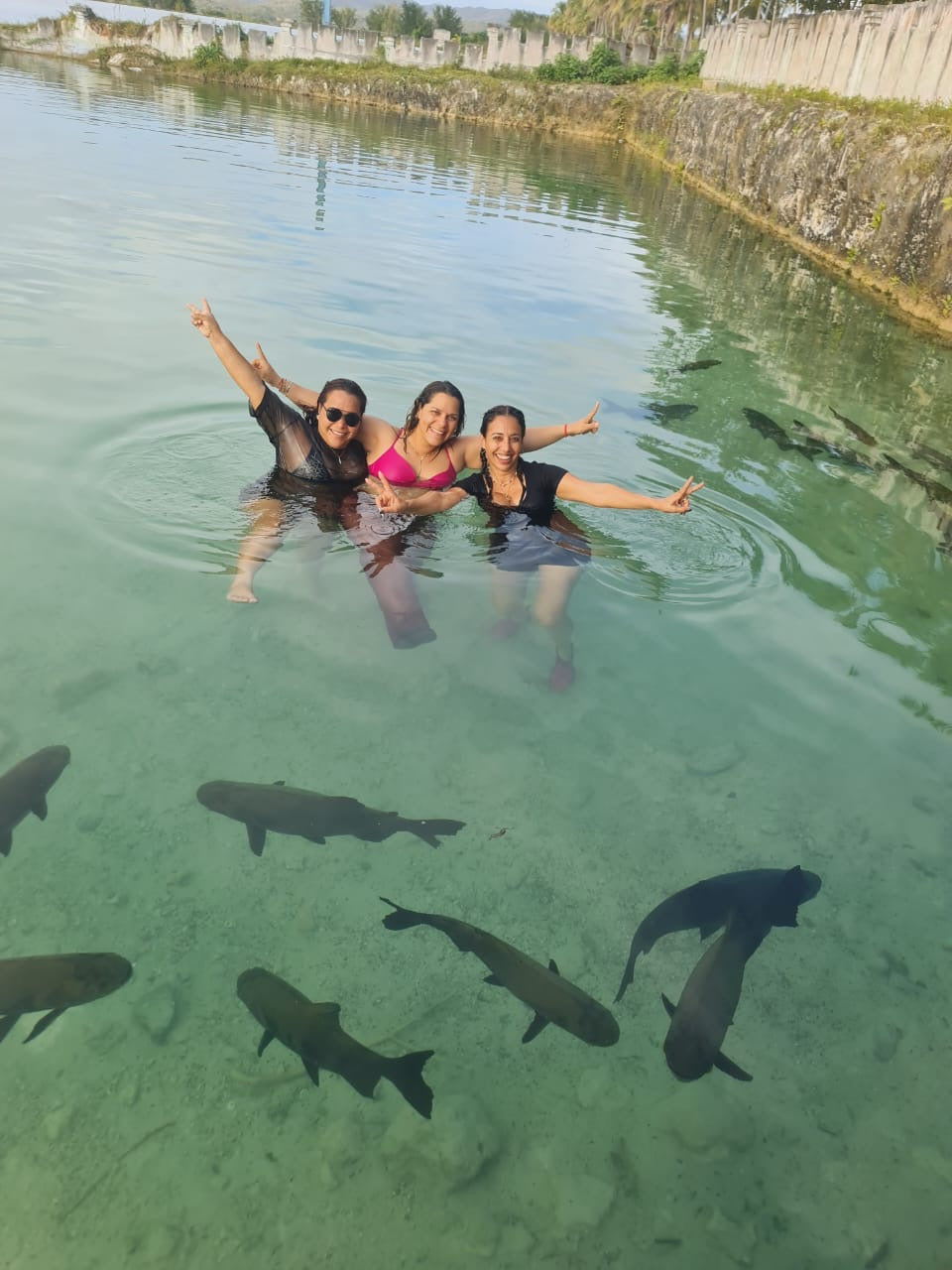 Full Day Aguas de Moisés 🐠