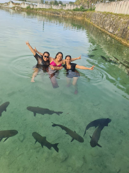 Full Day Aguas de Moisés 🐠