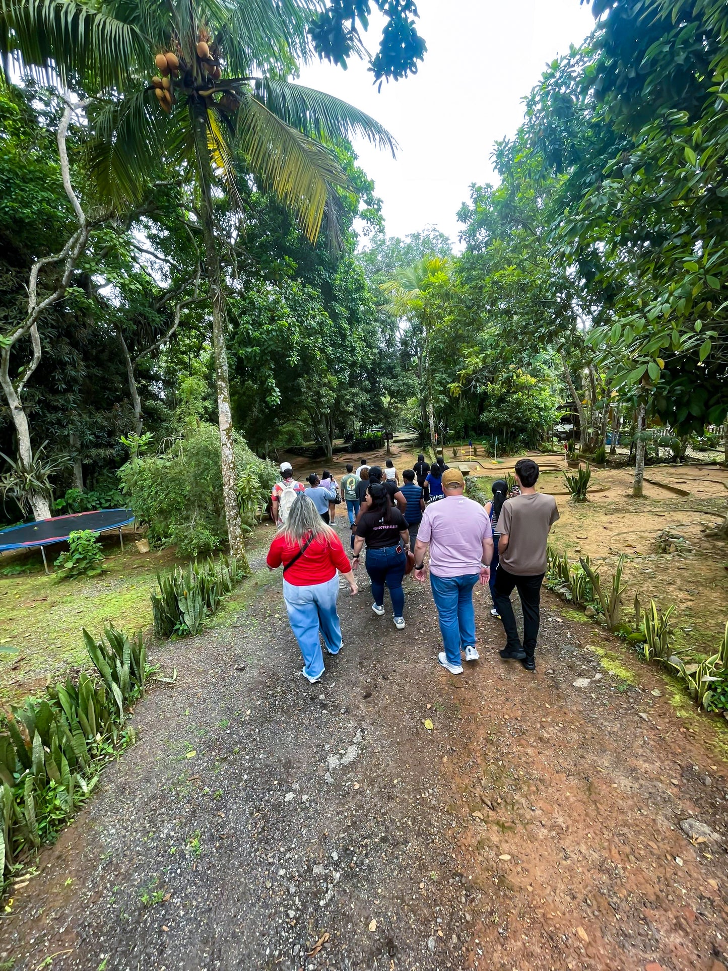 Tour Altos de Sucre - Edición Domingos 🌻