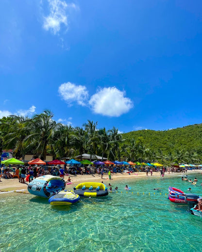 🐬 Tour de los Delfines e Isla Piscina 🛥️
