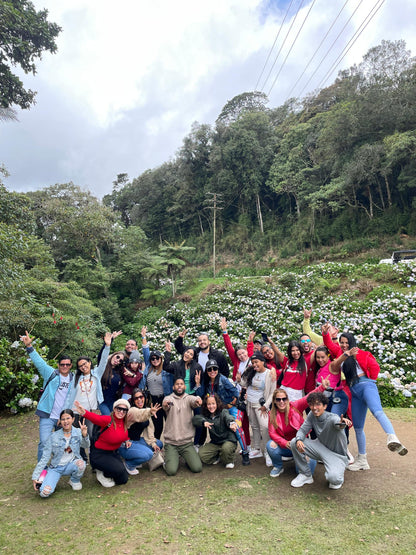 Tour Colonia Tovar 3D🌤️/ 2N🌙 - Especial Navideño 🎄🎅🏻