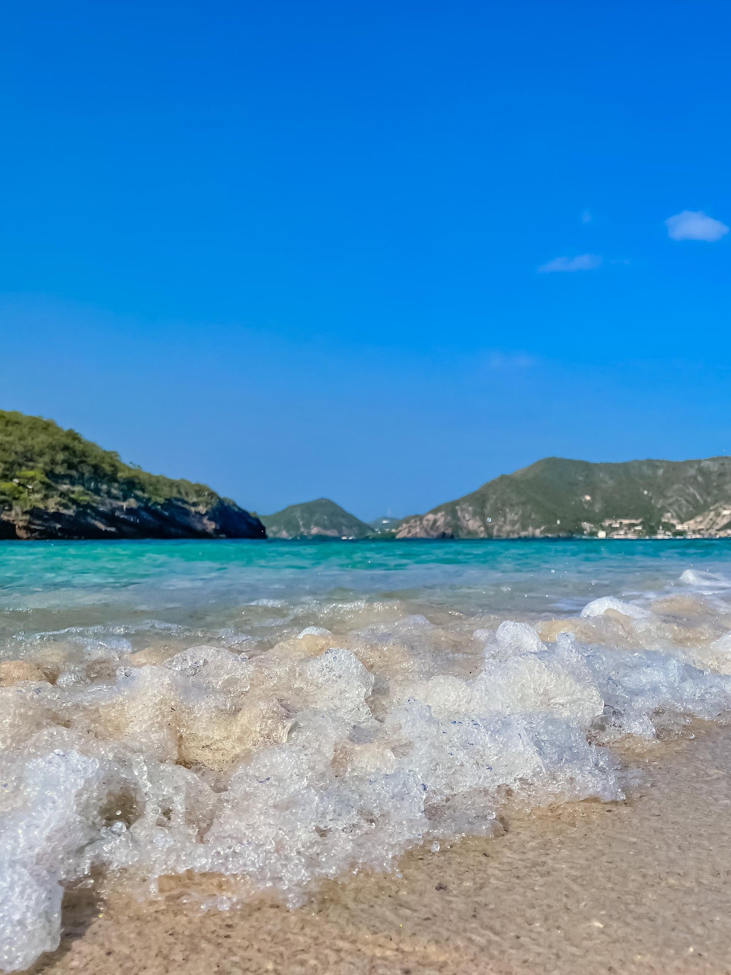 🐬 Tour de los Delfines e Isla Piscina 🛥️