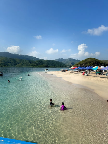 🐬 Tour de los Delfines e Isla Piscina 🛥️