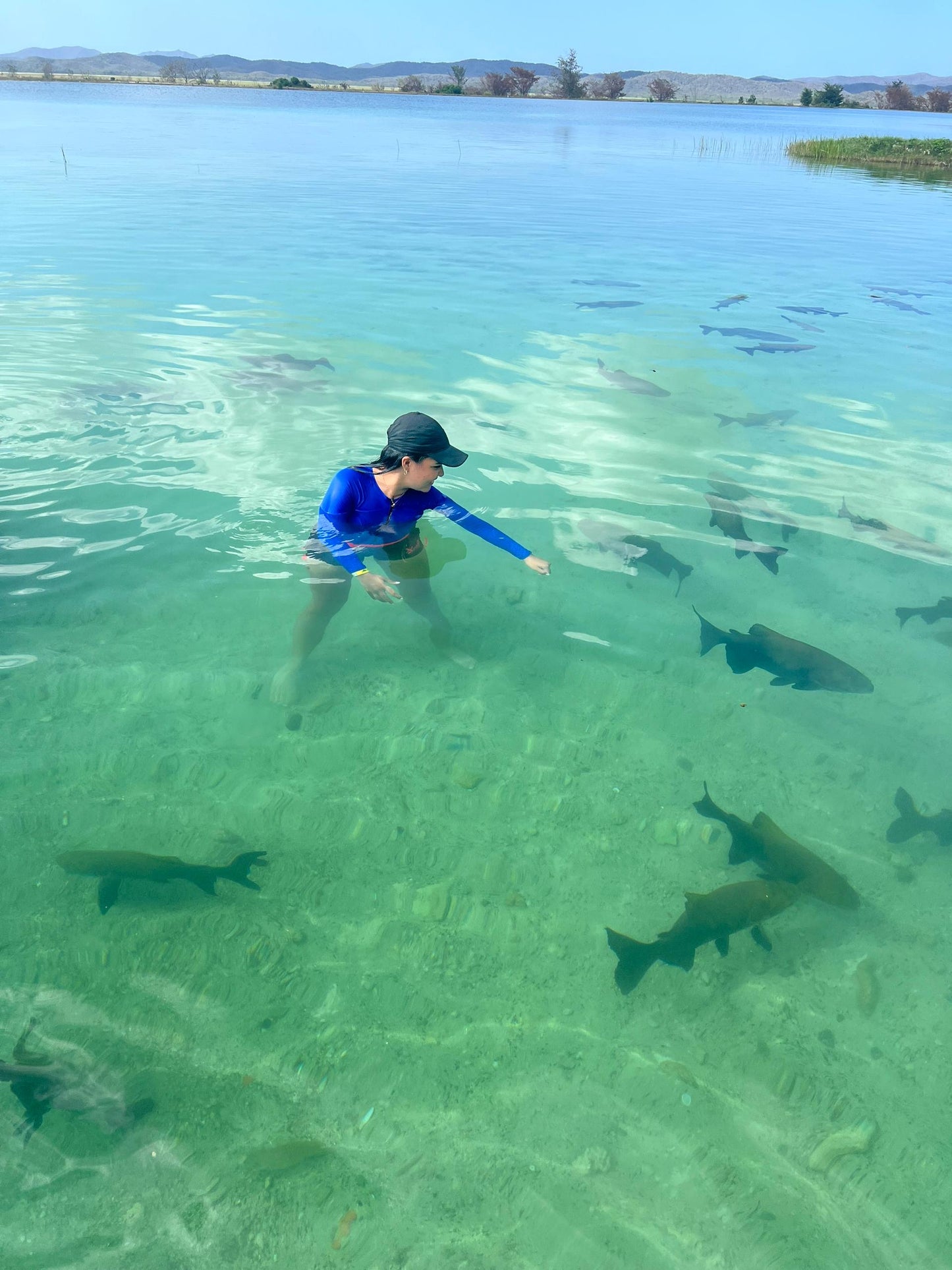 Full Day Aguas de Moisés 🐠