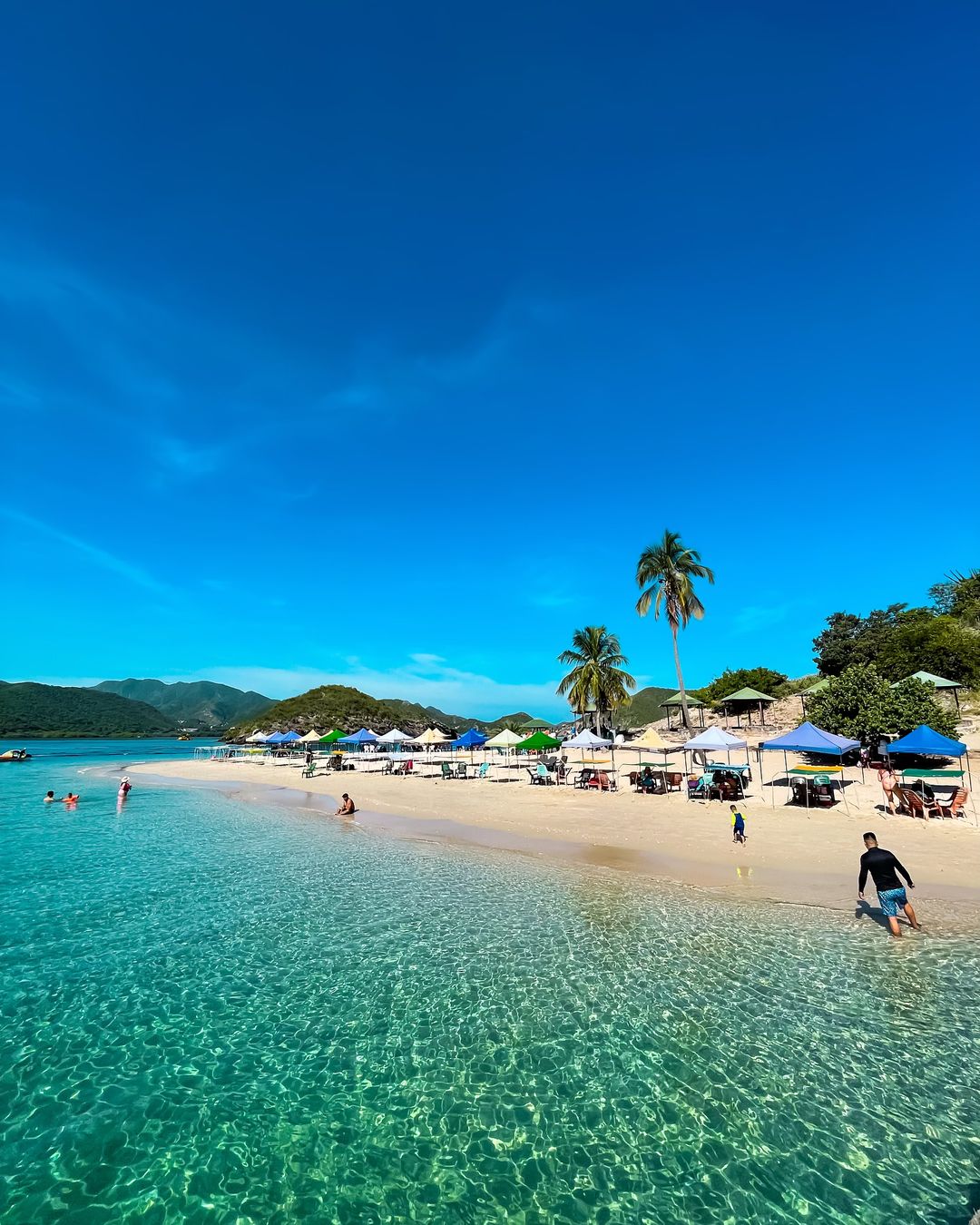 🐬 Tour de los Delfines e Isla Piscina 🛥️