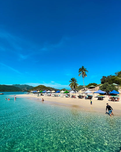 🐬 Tour de los Delfines e Isla Piscina 🛥️