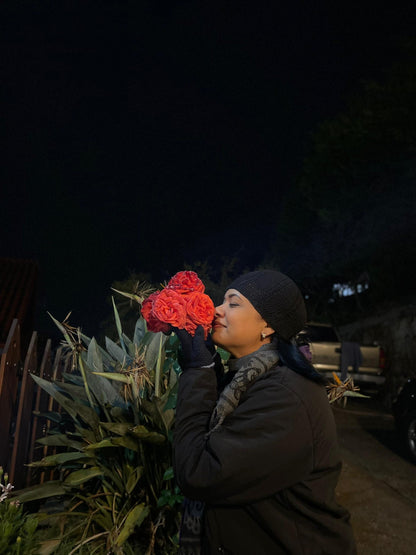 Tour Colonia Tovar 3D🌤️/ 2N🌙 - Especial Navideño 🎄🎅🏻