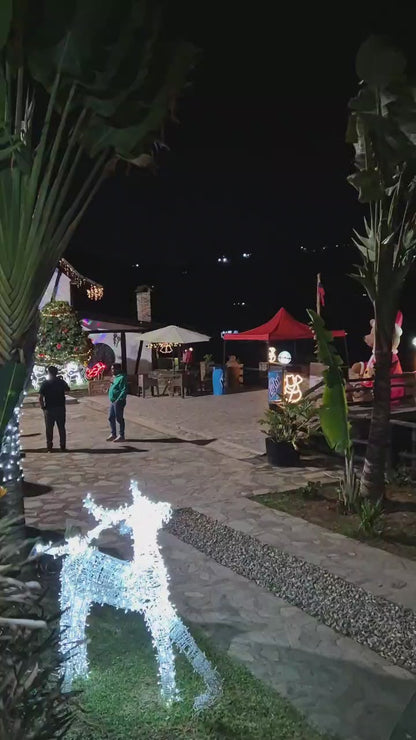 Tour Colonia Tovar 3D🌤️/ 2N🌙 - Especial Navideño 🎄🎅🏻