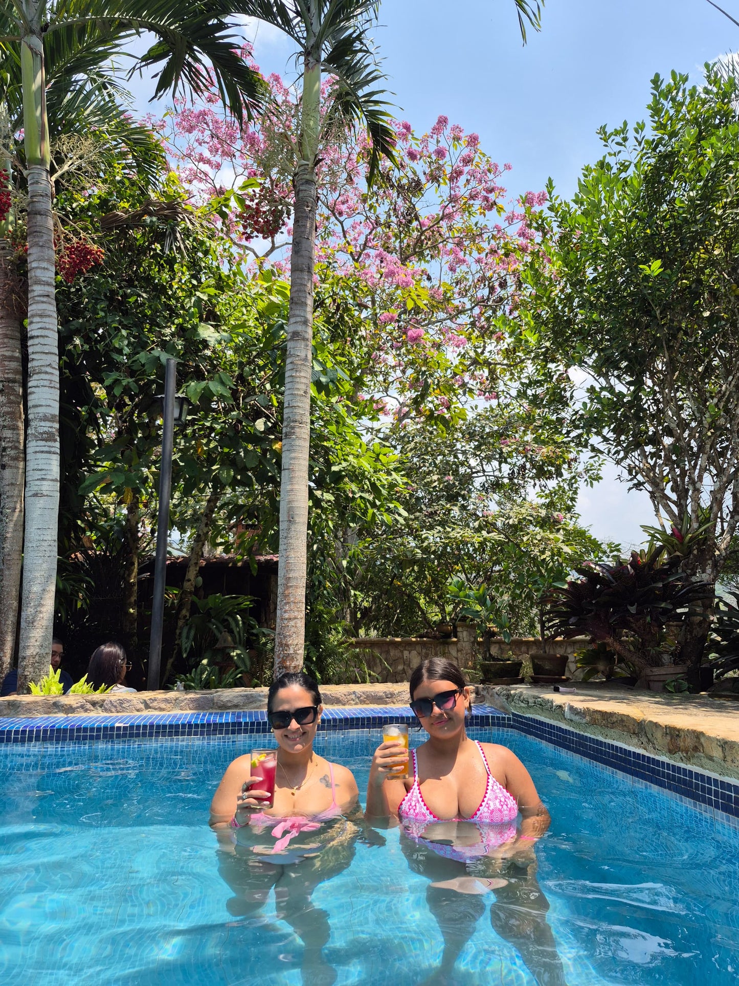 Full Day Jacaranda